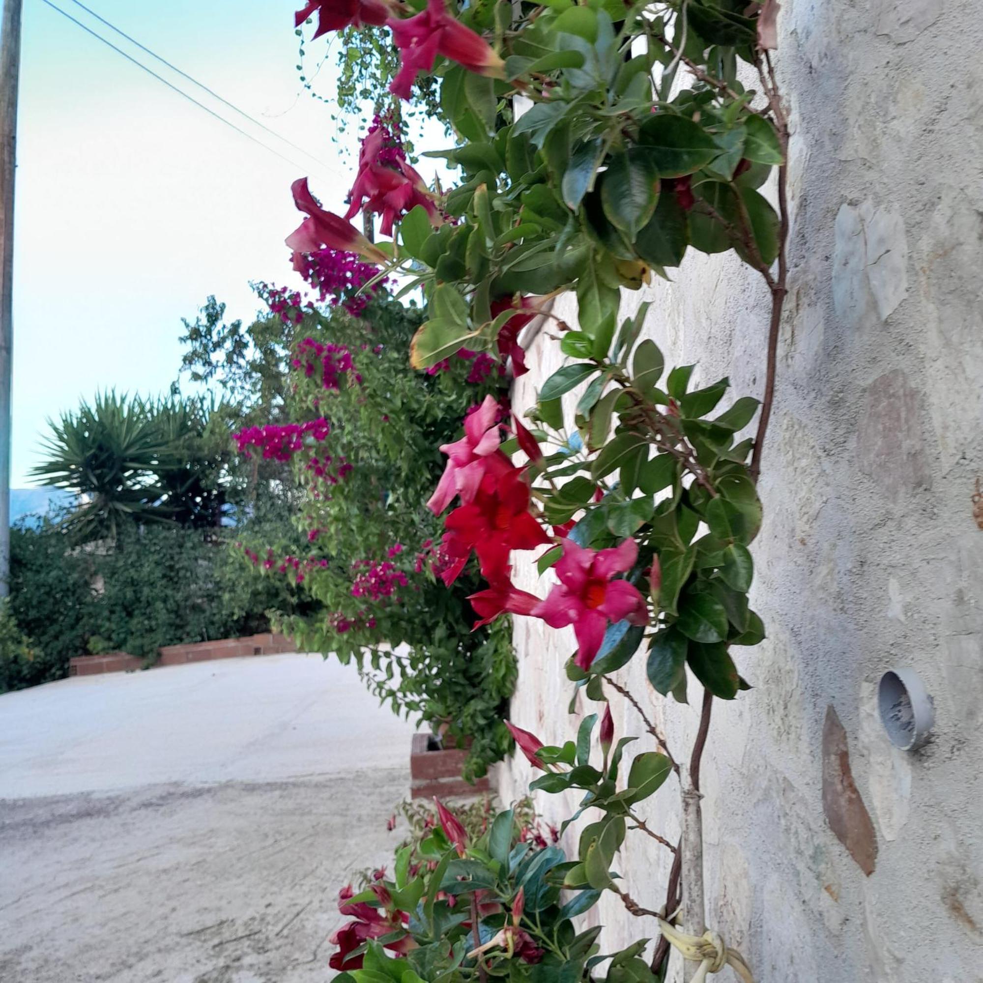 Denni'S Home Saranda Extérieur photo